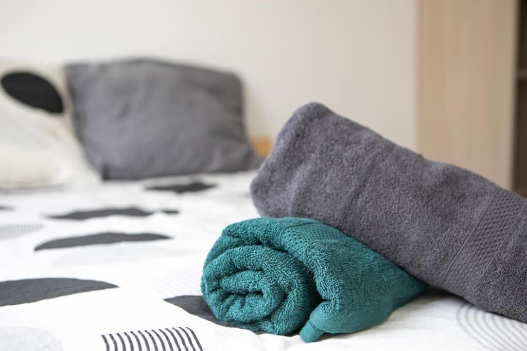 Suite Lumineux Et Moderne, Parking Gratuit, Mulhouse Centre Bagian luar foto